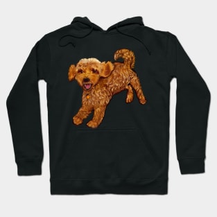 Cavapoo dog playing Cute funny Cavapoo puppy prancing about Dogs just love having fun, puppy love Hoodie